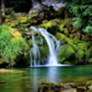 Meet your Posher, Evelyn